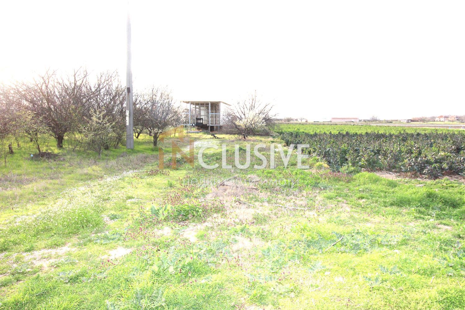 Top Price for a Regulated Plot in the Village of Tsalapitsa