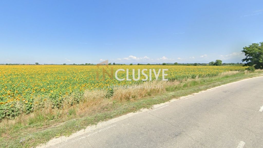 Plovdiv, province, village Skutare, village Skutare