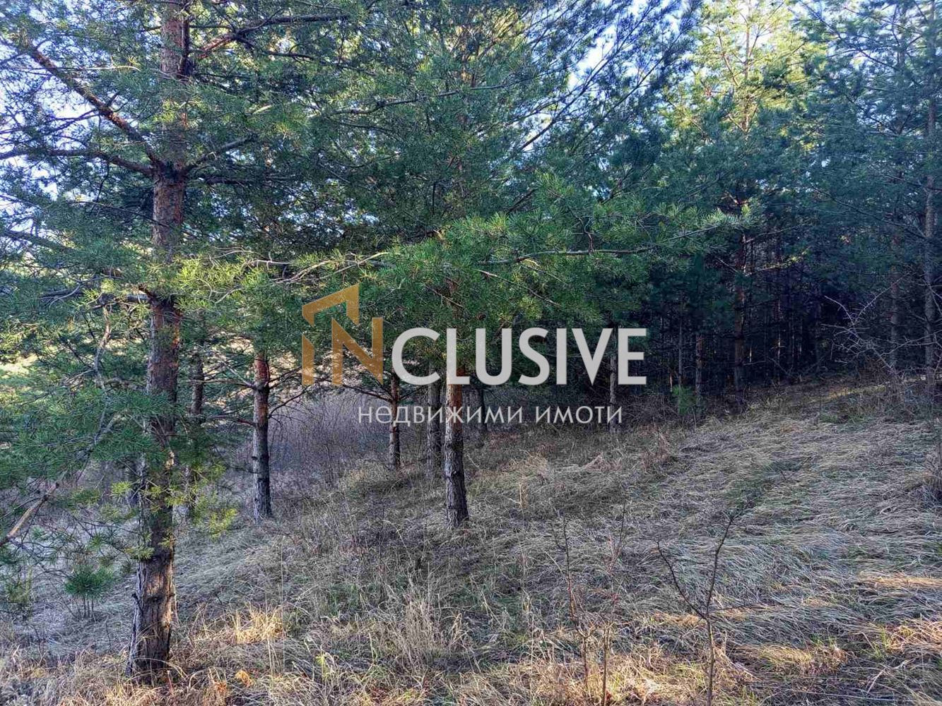 NEAR REGULATION!!! PROMISING LOCATION!!! BEST PRICE FOR THE AREA!!!